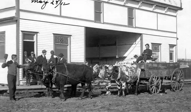 Ox team and wagon outside the North American Lumberyard
